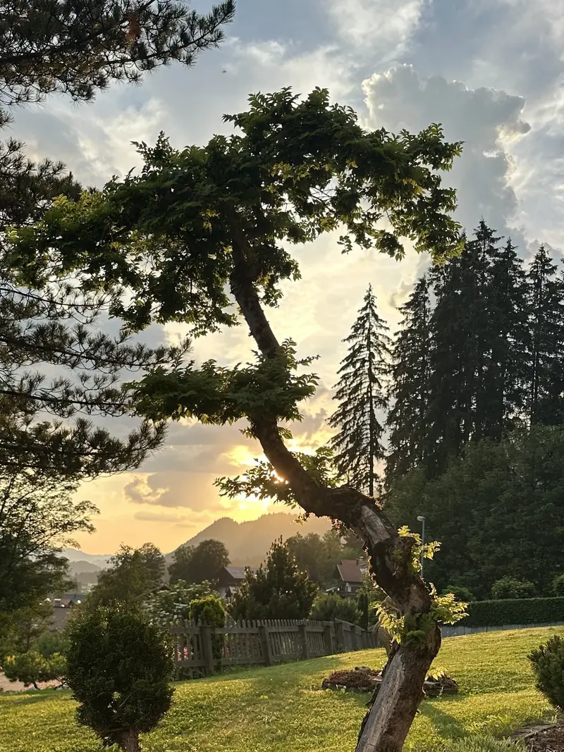 Abendlicht über dem Garten des Sunneschlössli mit Blick auf die Tannheimer Berge
