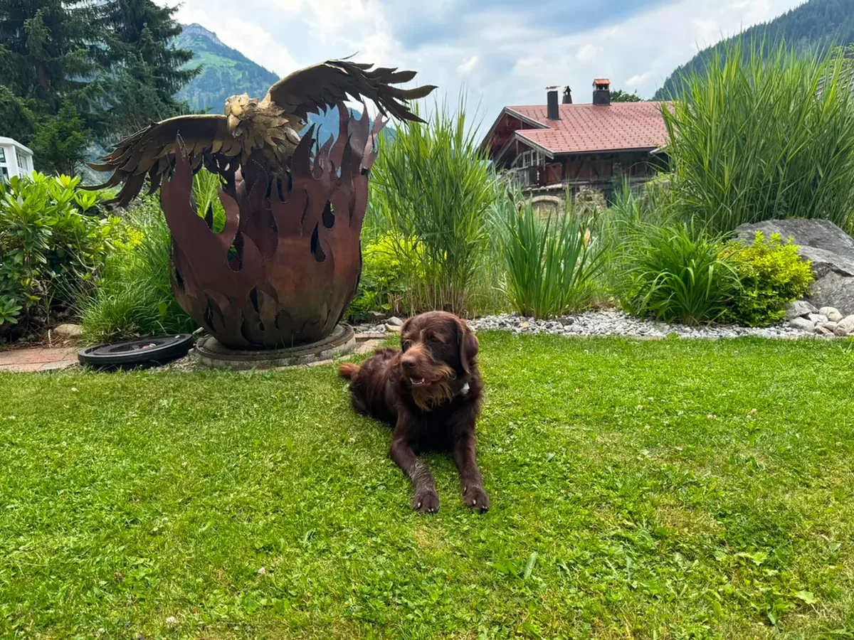 Oskar, der Hund der Gastgeberfamilie, im Garten des Sunneschlössli vor den Tannheimer Bergen