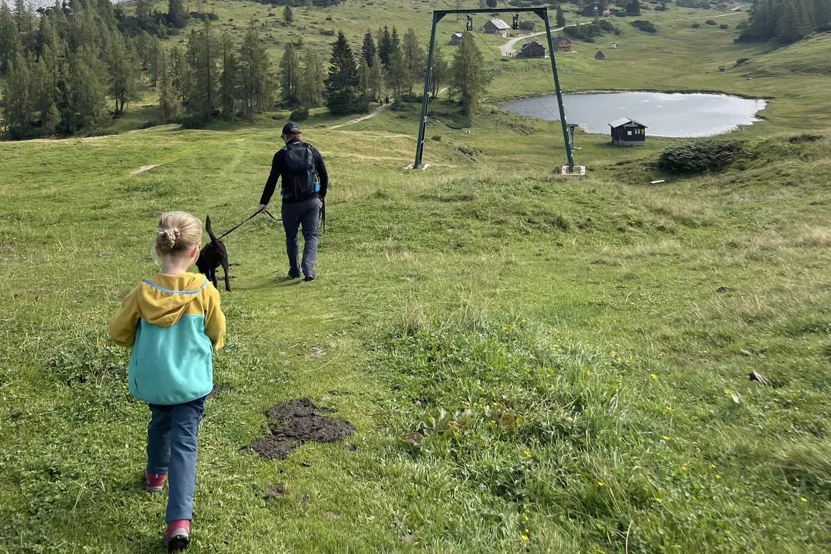 A walk with a dog on an alpine path in the Tannheimer Tal