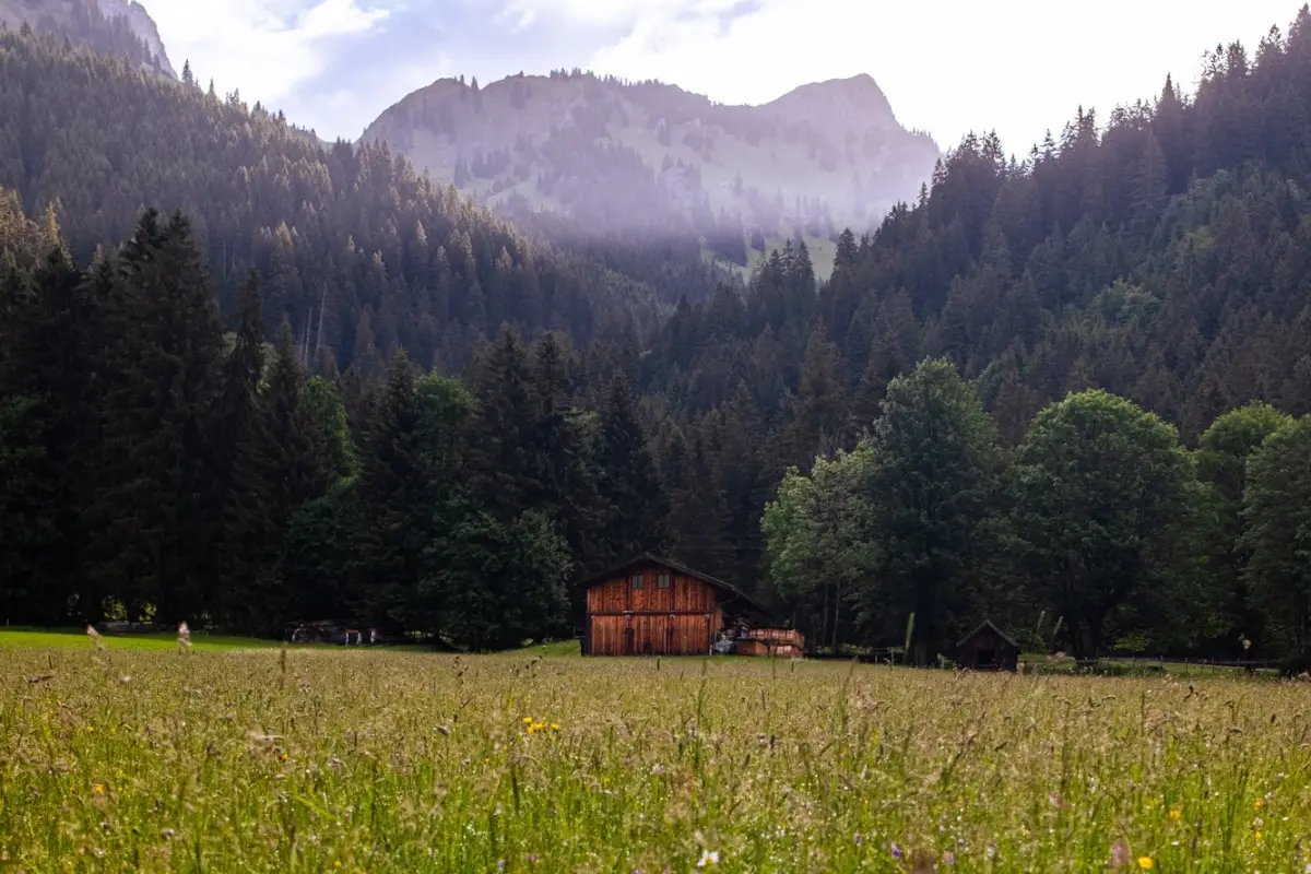 Blumenwiese mit Stadel neben dem Sunneschlössli, ein stiller Platz für den Picknickkorb