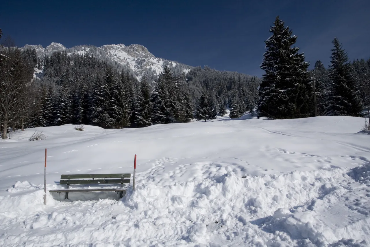Eine eingeschneite Holzbank an einem Winterweg, dahinter verschneiter Wald und Felsen