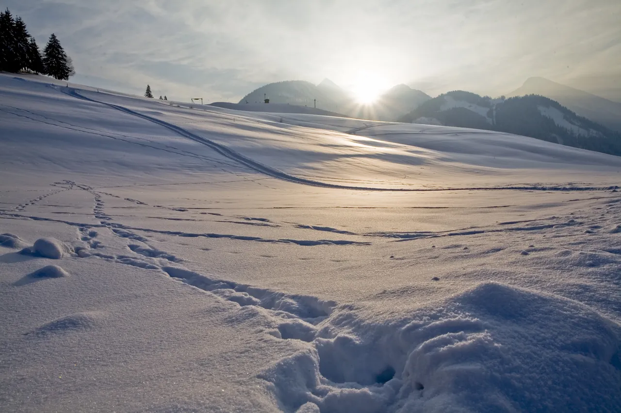 Verschneiter Hang im Gegenlicht, am Horizont ein Schlepplift